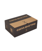 Кроссовки спортивные Snowstorm LOW, waterproof, Black/grey