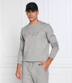 Худи salbo iconic BOSS GREEN - серый(50477122)