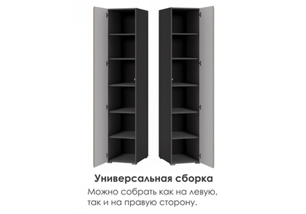 Шкаф Woodville Сейдиль 16.367.01 антрацит, веллюто капучино