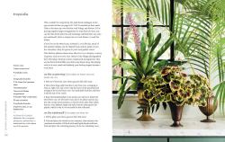 Seasonal Flower Arranging