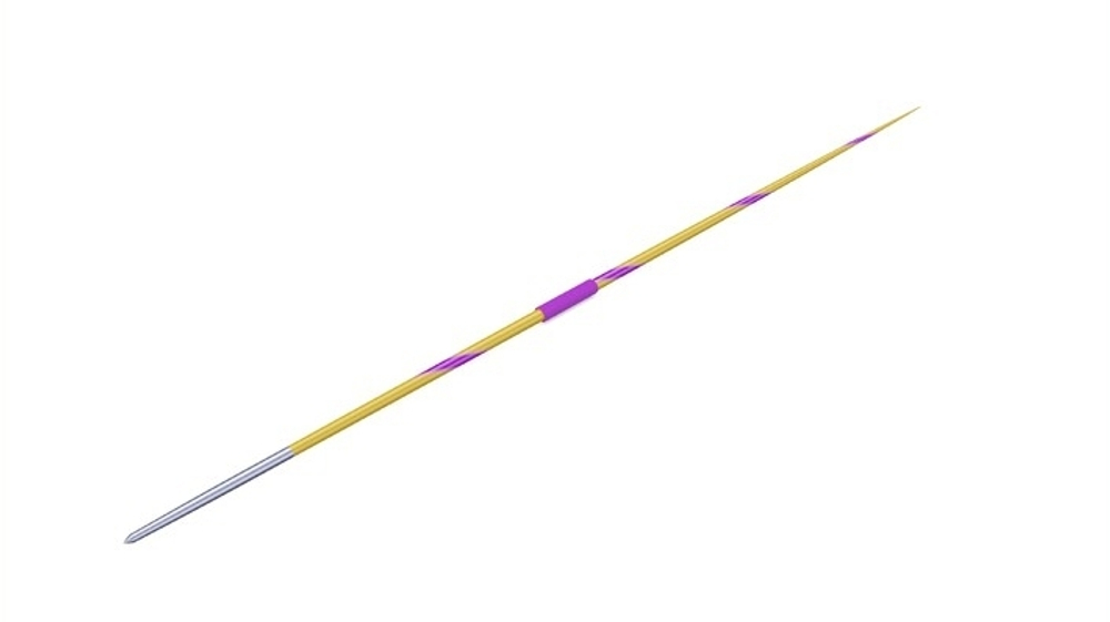Копья Nordic Sport 700 грамм