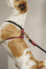 Шлейка "Пони-Макарони" Винная