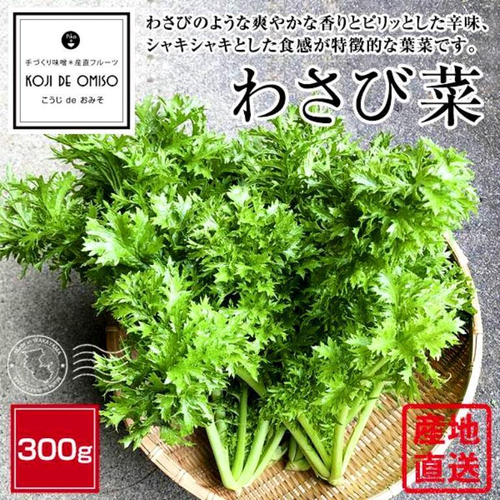 Салатная Японская Зелень Васаби Васабина - Wasabina - わさび菜