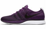 Кроссовки Nike Flyknit Trainer