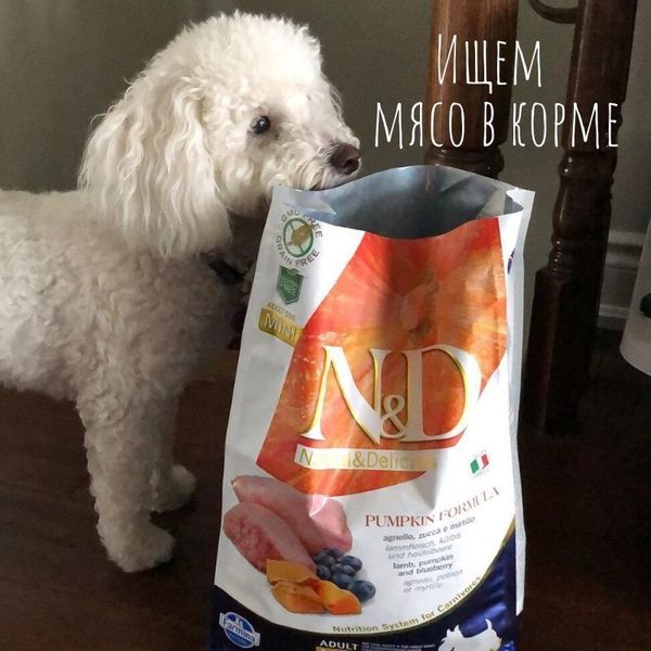 Ищем мясо в корме Ищем мясо в корме