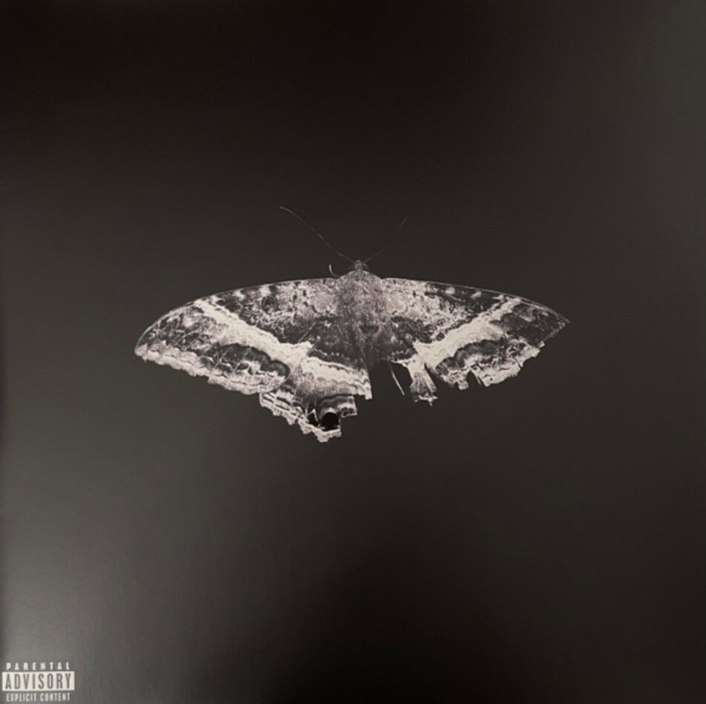 Kendrick Lamar / To Pimp A Butterfly (Limited Edition)(Coloured Vinyl)(2LP)