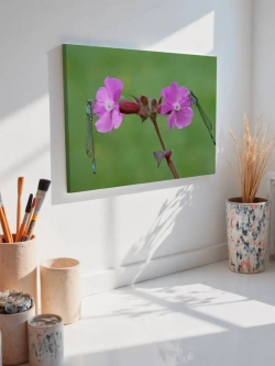 Картина на стену 40 X 50 Стрекозы