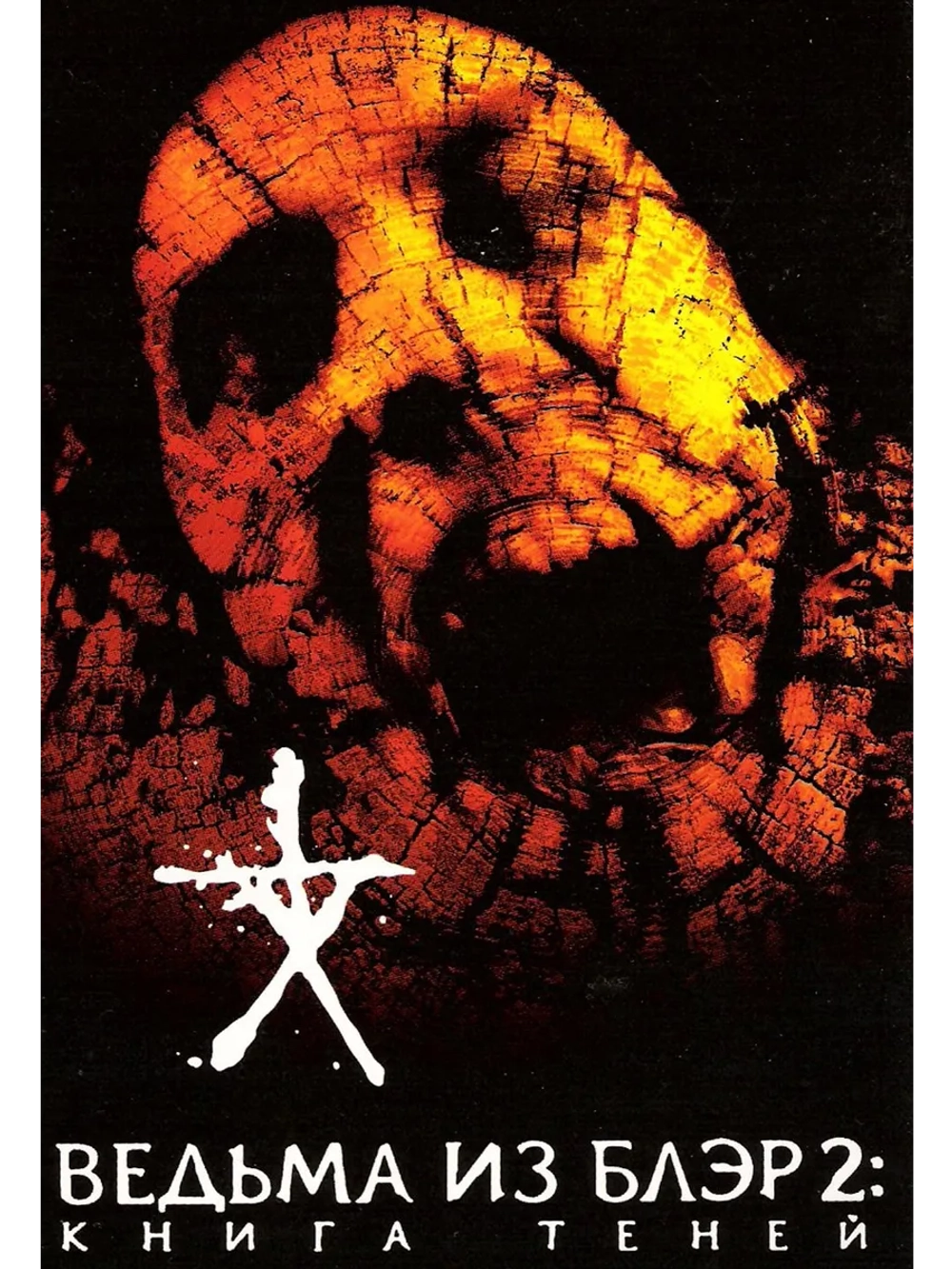 Ведьма из Блэр 2: Книга теней (2000) (DVD-R)