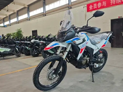 Мотоцикл Loncin DS250 Rally