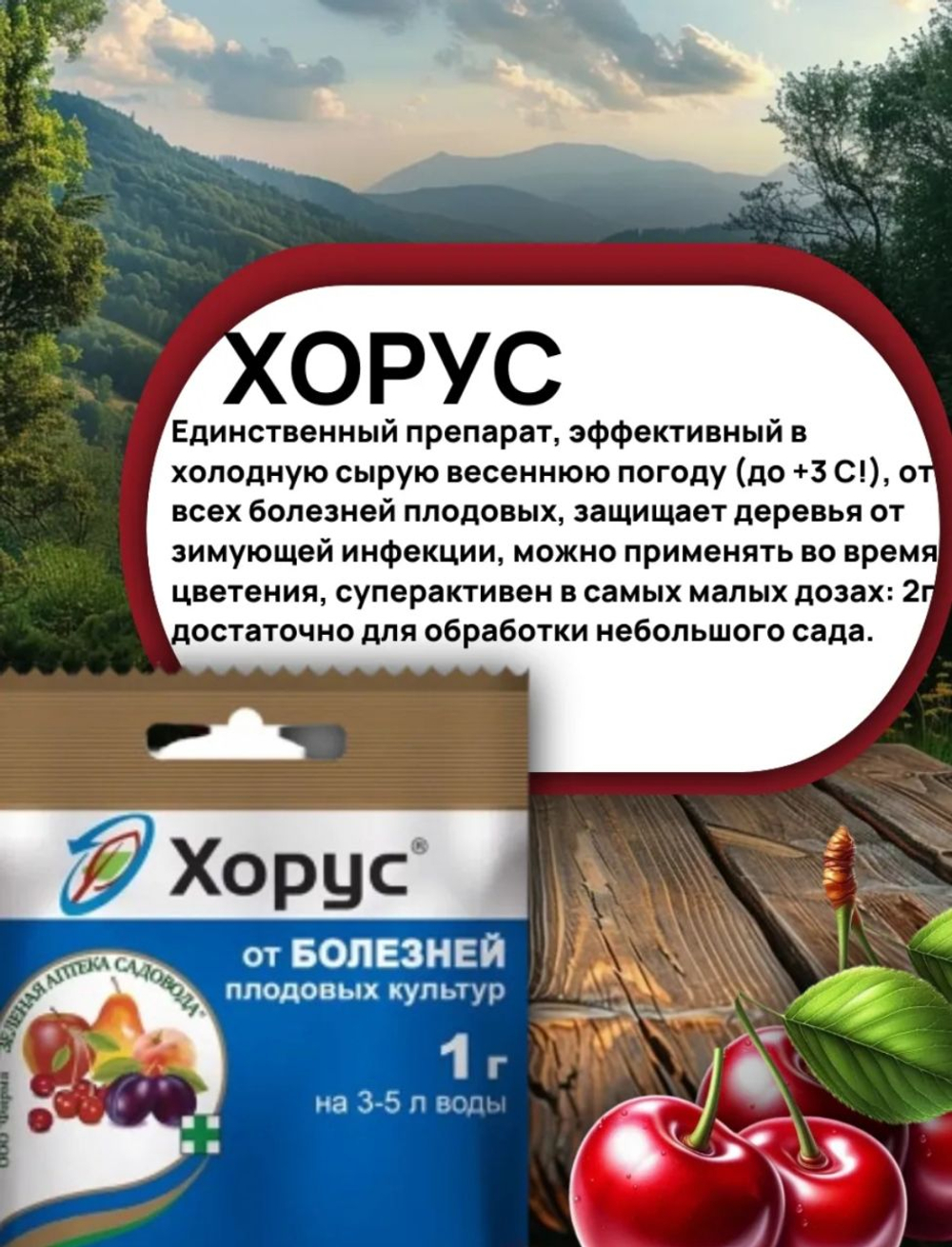 Средство защиты растений от болезней- Хорус, 1 г