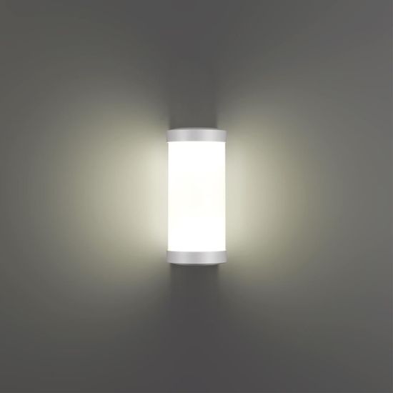 359299 STREET NT24 000 белый Светильник ландшафтный настенный IP65 LED 6W 4000K 180-265V OPAL