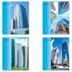 Тетрадь А5, 48 л., BRAUBERG ЭКО, клетка, обложка картон, МЕГАПОЛИС, 402777, 4шт