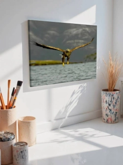 Картина на стену 40 X 50 Хищная птица