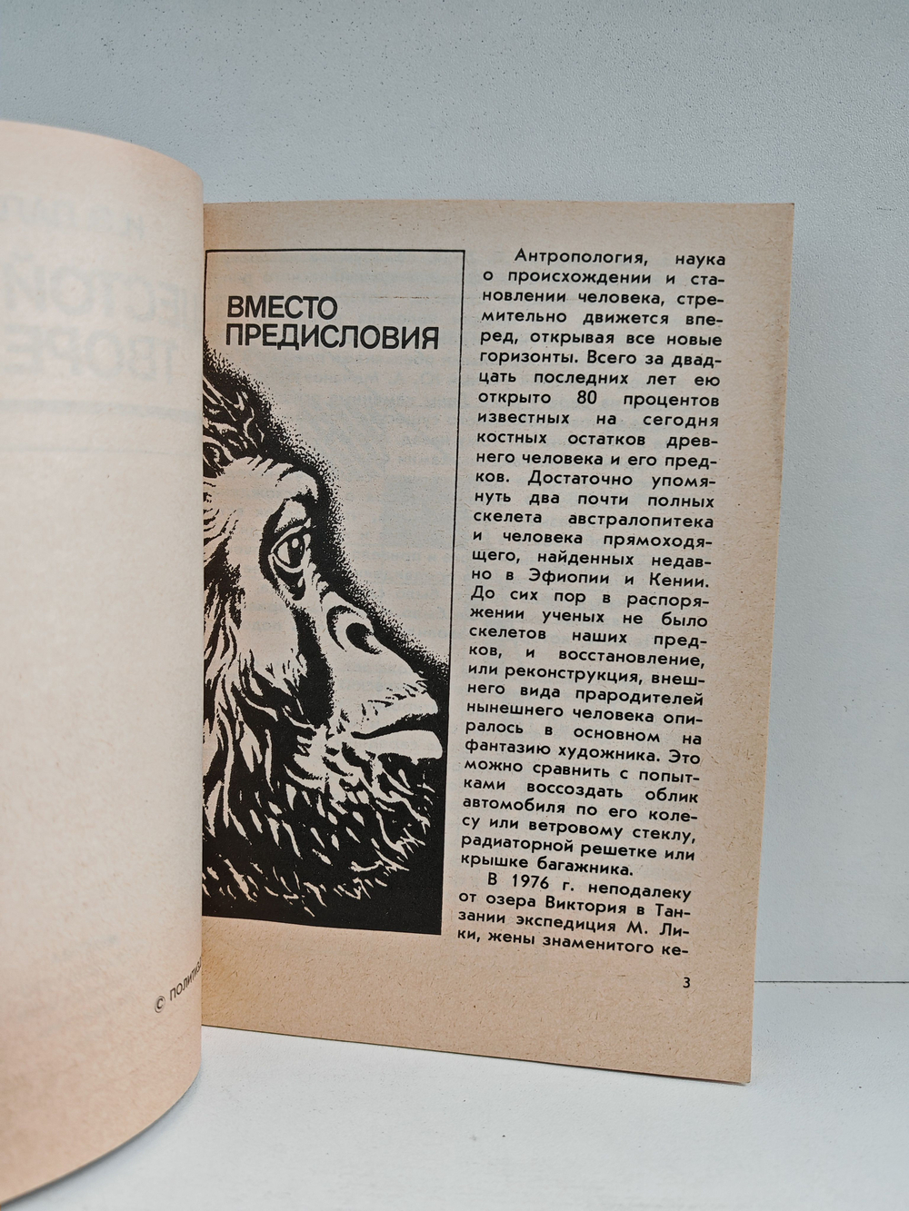 Шестой день творения