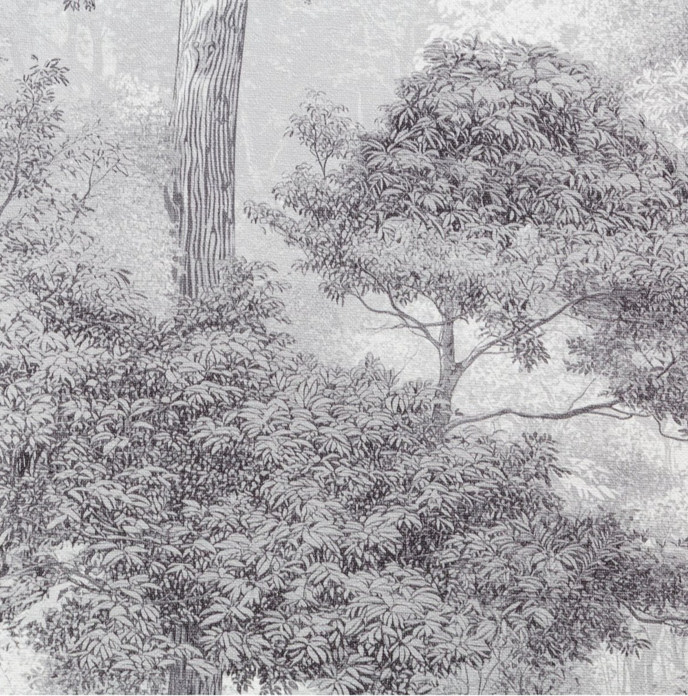 Обои виниловые TC72703-41 ТРЕНД Энергия леса PALITRA TREND сюжетный рисунок, размер 1,06х10 м