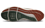 Кроссовки Nike Air Zoom Pegasus 39 "A.I.R. Hola Lou"