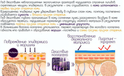 Коллаген говяжий (MegaProtein ST)