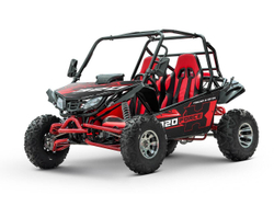 Багги SHARMAX XForce 320 Sport