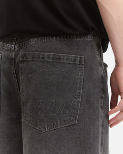 Шорты Anteater BaggyShorts-Grey