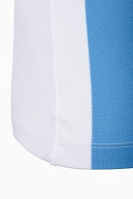 Футболка Nike Striped Division V