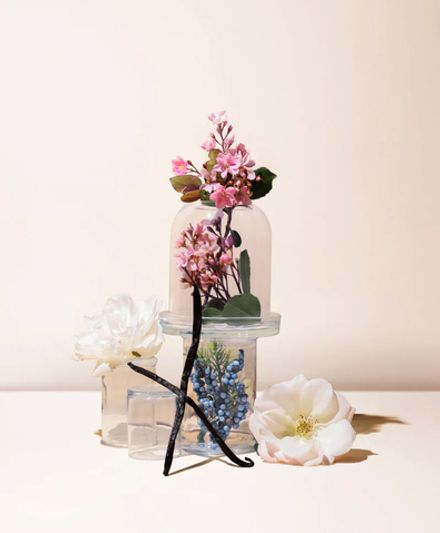 Лунные цветы и ванильные облака (Moon flowers & Vanilla clouds)