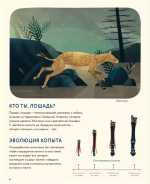Лошади: дикие и прирученные