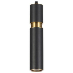 Подвесной светильник Arte Lamp Ran A3145SP-1BK