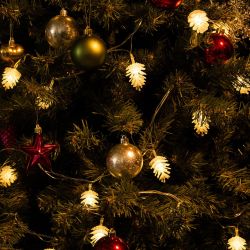 ULD-S0280-020-DTA WARM WHITE IP20 PINE CONES Гирлянда светодиодная Шишки . 20 светодиодов. 2.8 м. теплый белый. IP20. провод прозрачный.