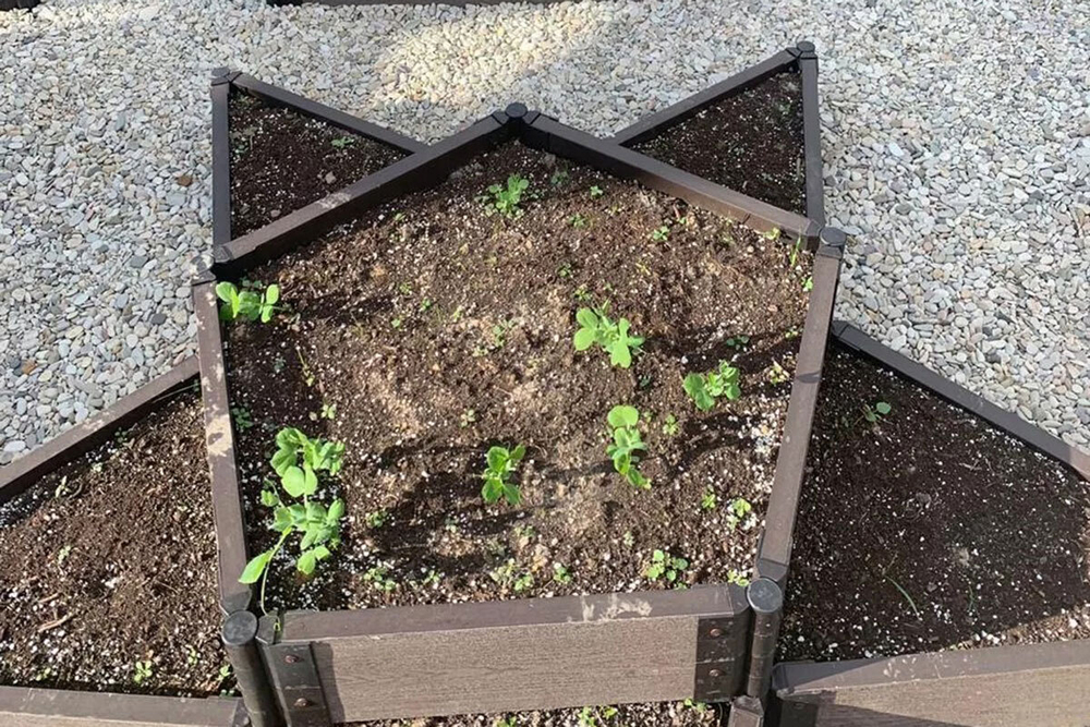 Доска грядочная Holzhof 150*25*2950мм, тиснение 3D