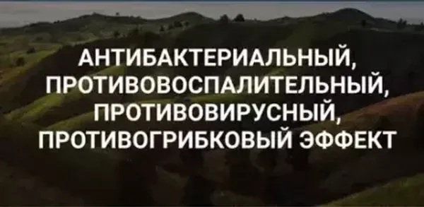 КФС Кольцова антибактериальный, противовоспалительный, противовирусный, противогрибковый эффект
