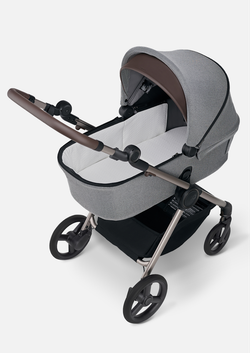 Anex Детская коляска iQ Pure