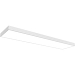 Светильник LED ДВО OPTIMA.OPL ECO LED 1200 EM 4000K СТ