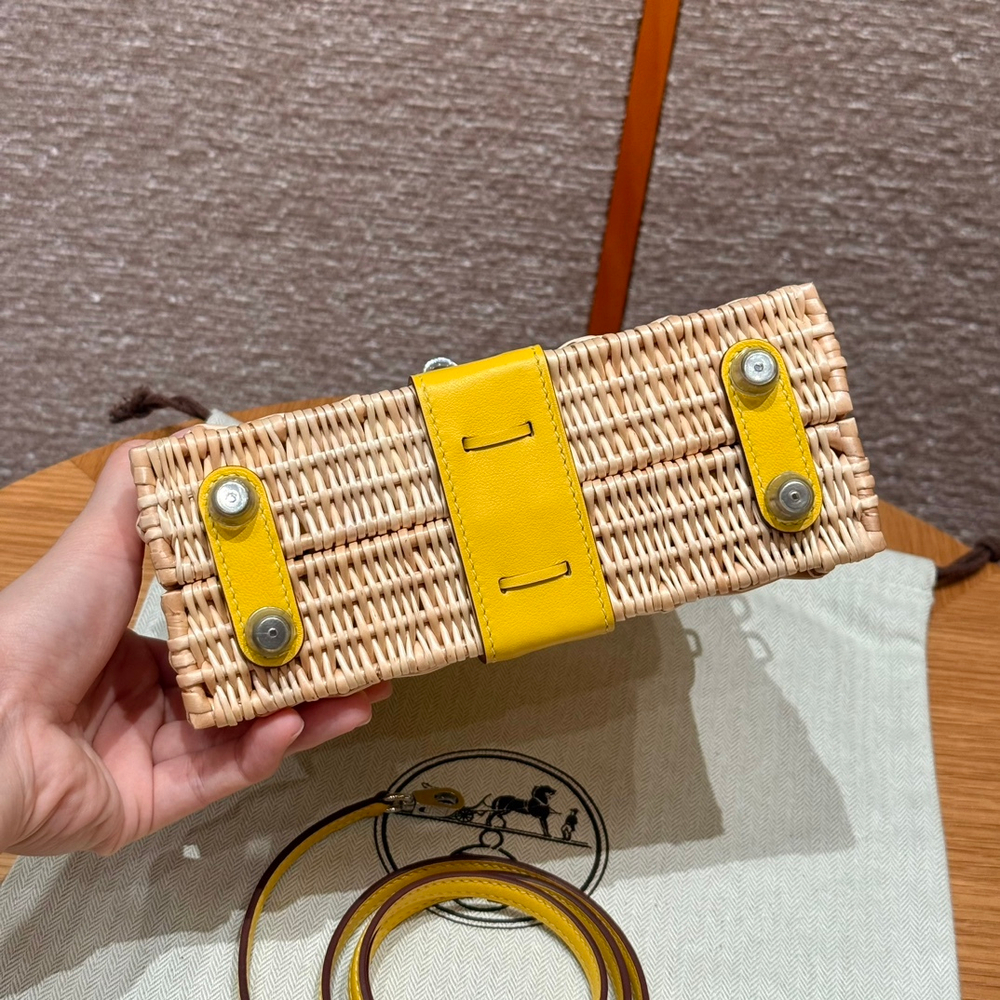 Hermes Picnic Kelly 20