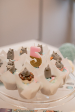 Mint Pusheen Party