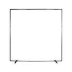 Falcon Eyes Frame 2323