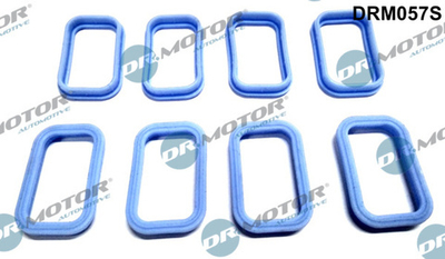 Dr.Motor Automotive - DRM057S-DRM - Gasket Set, intake manifold