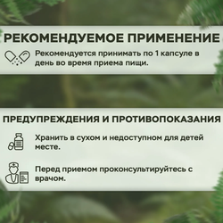 Alviko-Lab Kelp, КЕЛП Йод 500мг 90 капсул