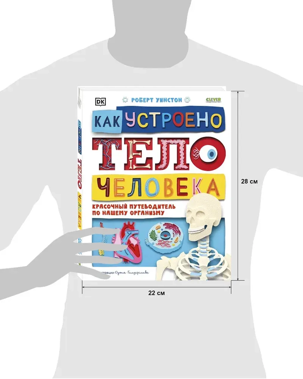 Как устроено тело человека. Красочный путеводитель по нашему организму