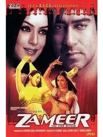 Раскаяние (2005) (DVD-R)