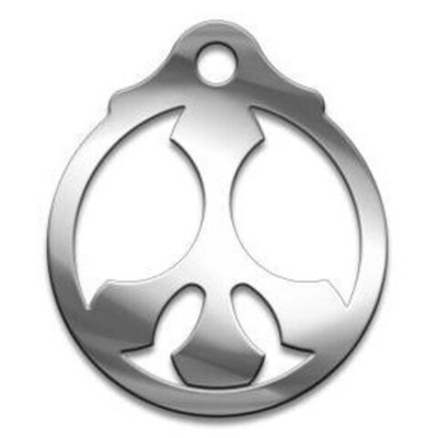 Амулет Серия Символы №48 Пасифик медицинская сталь