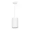 Подвесной светильник Arte Lamp CORSETTO A7096SP-1WH