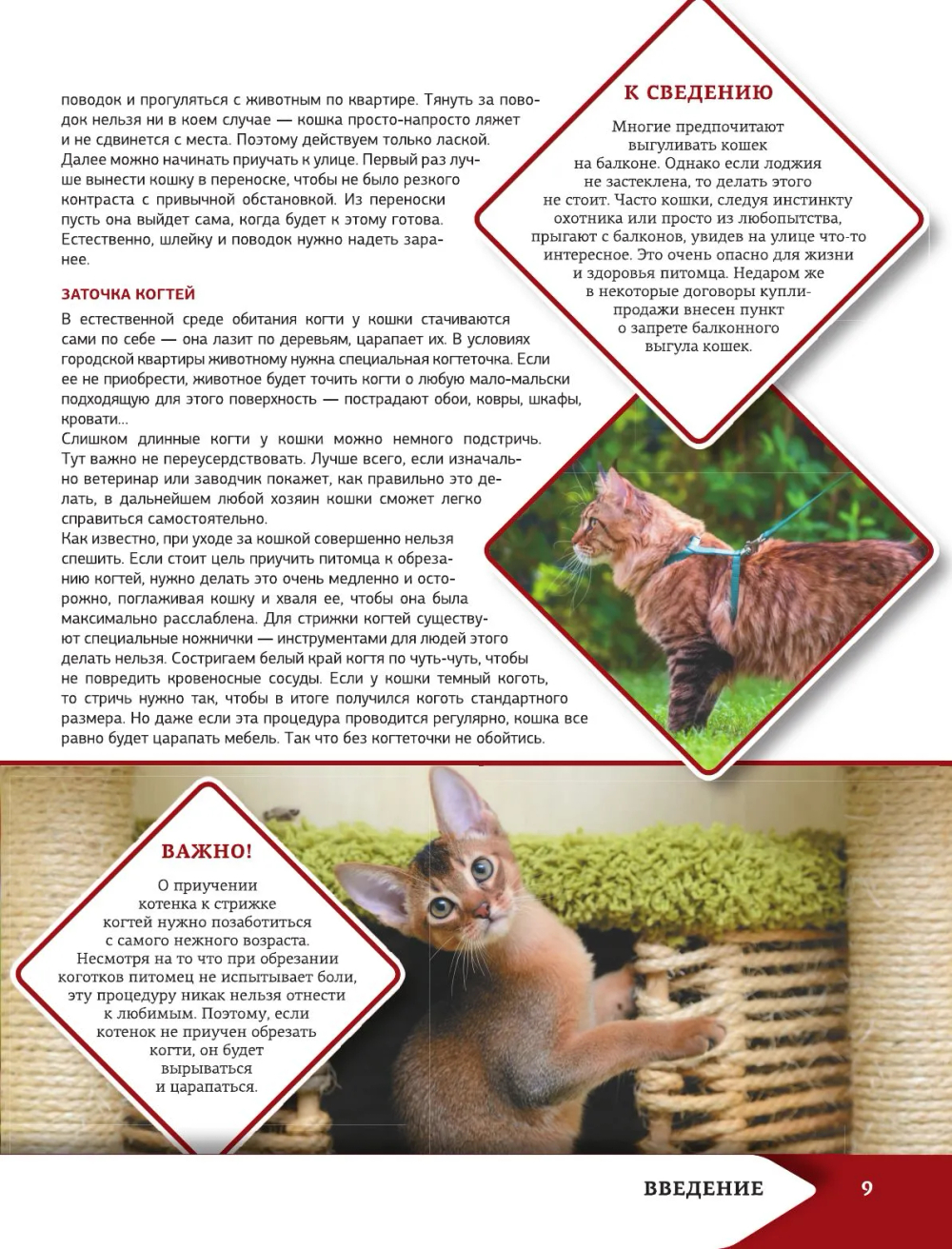 Самая лучшая иллюстрированная энциклопедия. Кошки