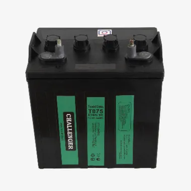 Аккумуляторы Challenger T-875 - изображение 1 Аккумуляторы Challenger T-875 - фото 1