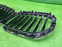 Решетка радиатора BMW X5 G05 (2018-2023)