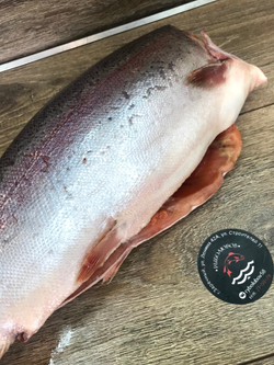 Форель радужная