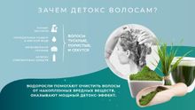 Green Detox Смесь водорослей для волос