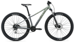 Женский велосипед Giant Tempt 2 29 (2021)