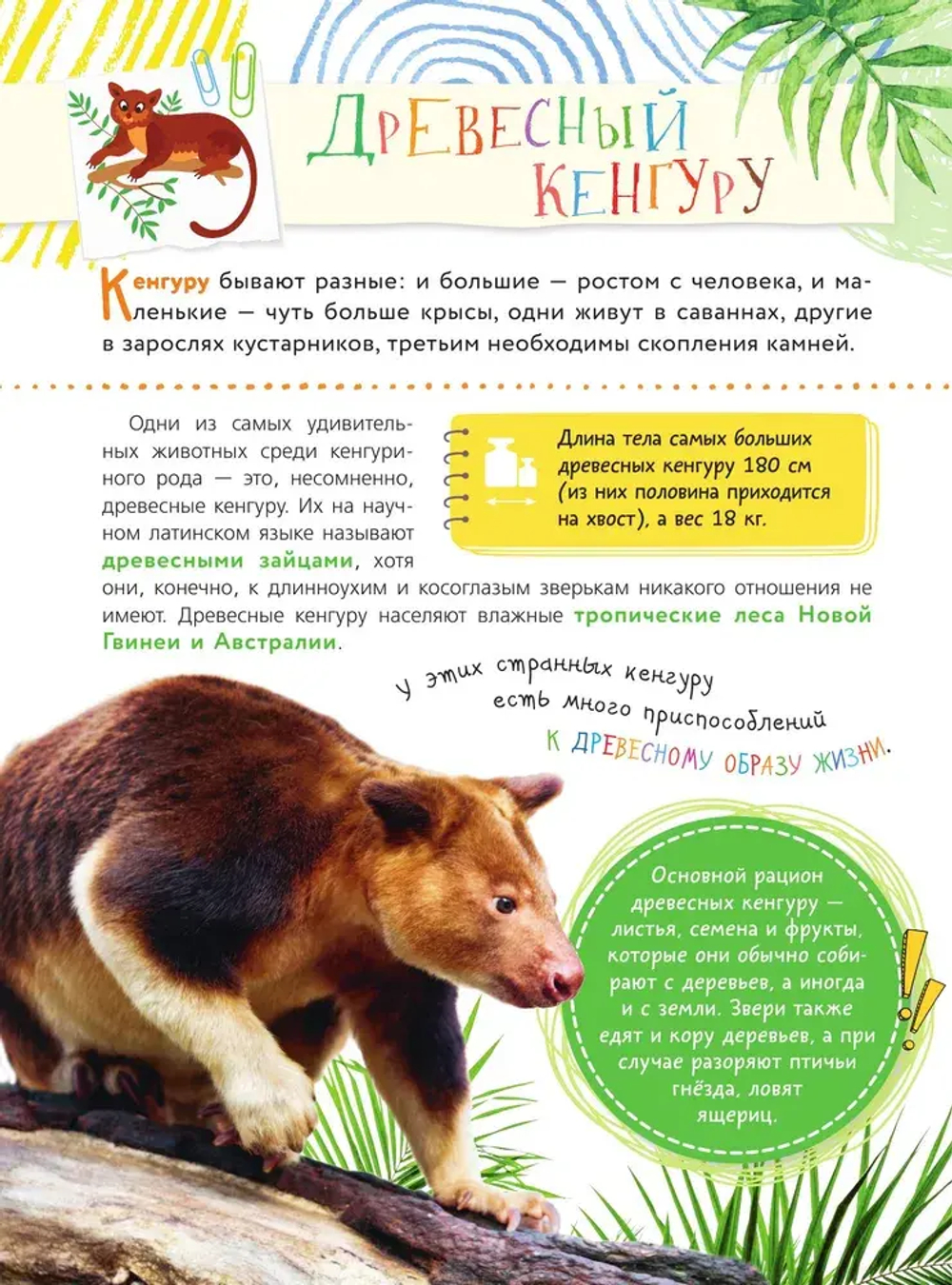 Красная книга для малышей