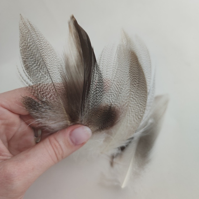 Перья утки естественные 10 шт. 10-15 см.