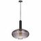 Подвесной светильник Loft IT IRIS 2070-С+BL